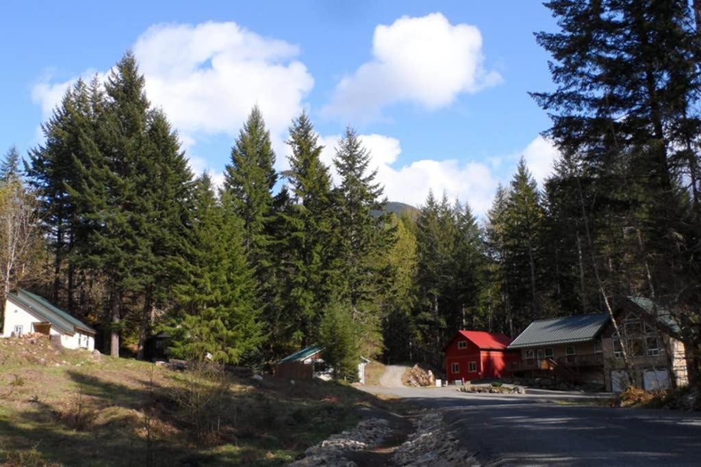 Hall Creek Cabin Packwood Kültér fotó