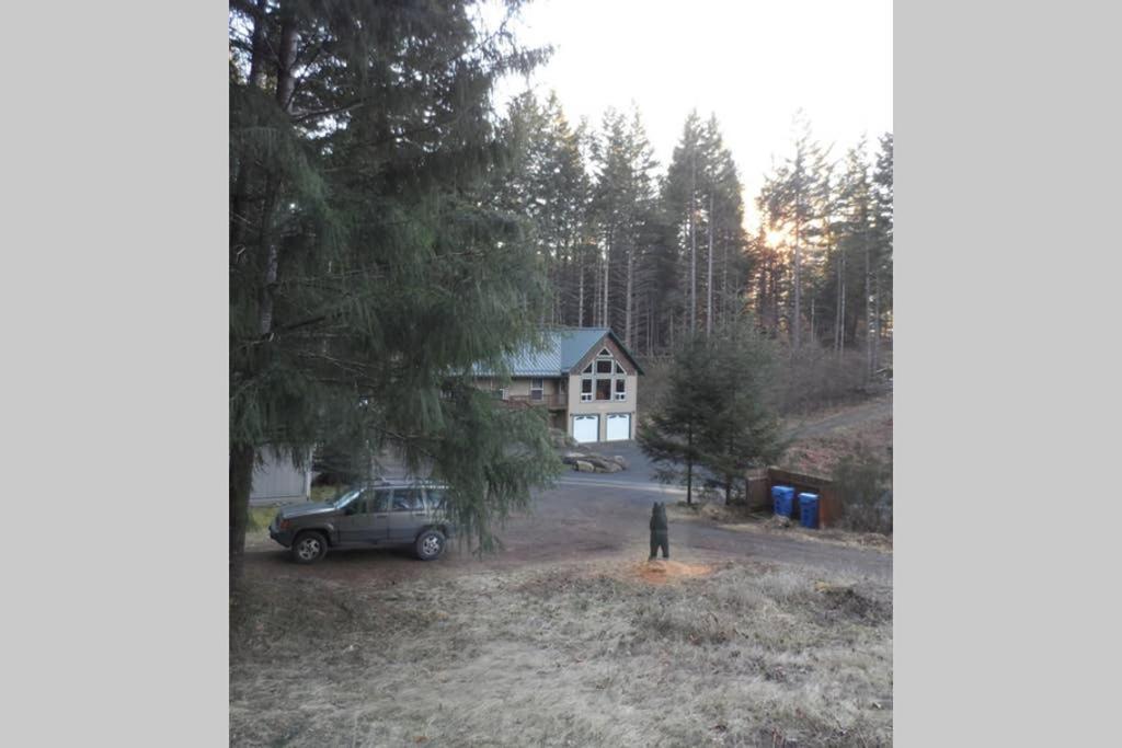 Hall Creek Cabin Packwood Kültér fotó