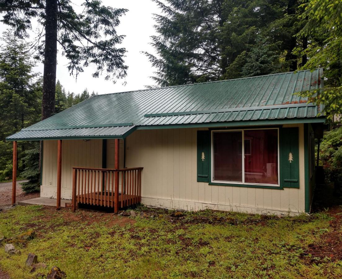 Hall Creek Cabin Packwood Kültér fotó